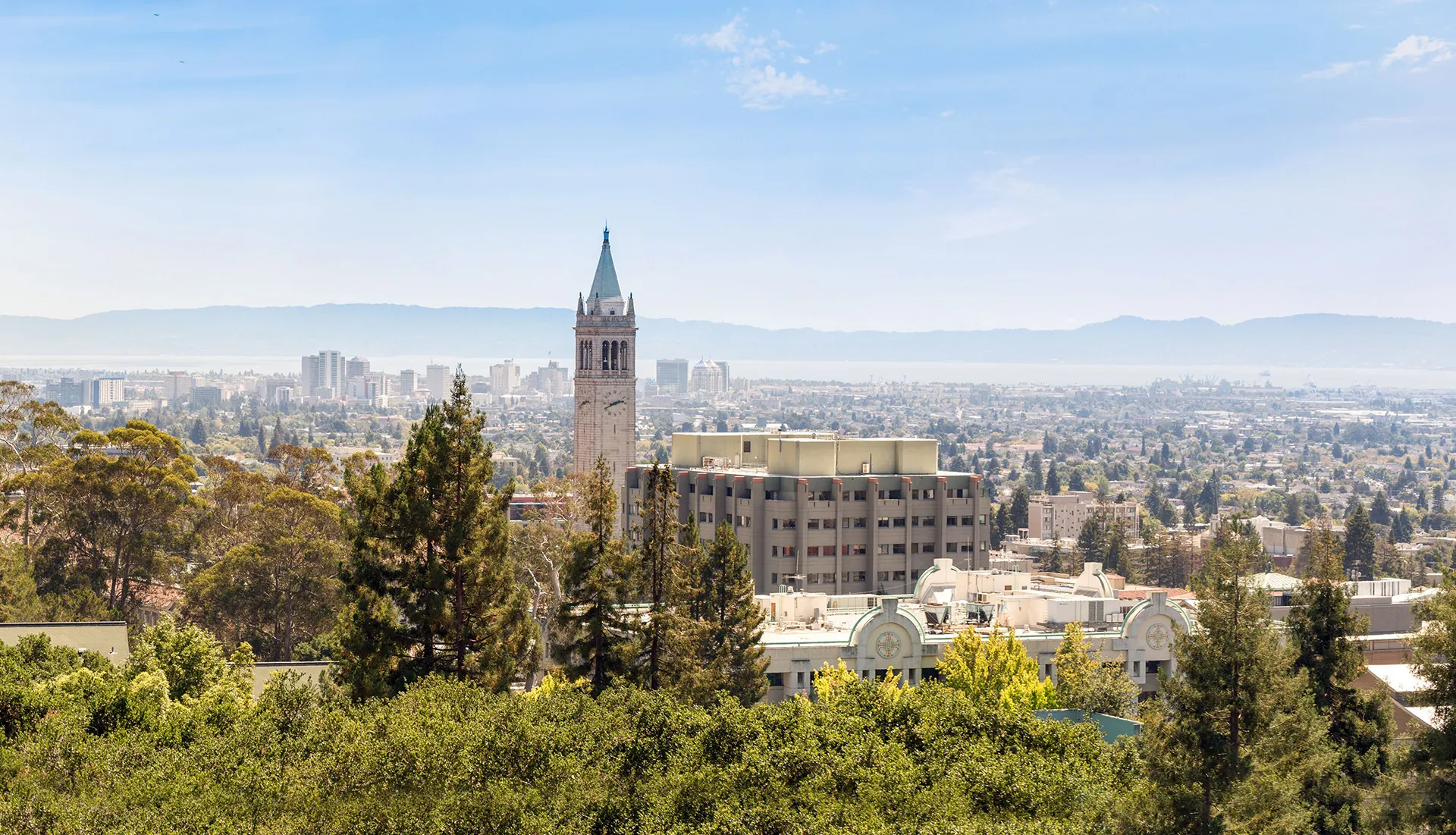 Stanford University campus view